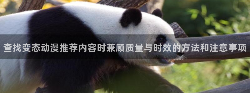 omofun动漫在线观看入口：查找变态动漫推荐内容时兼顾质量与时效的方法和注意事项