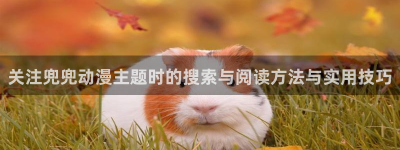 omofun连载动漫大全：关注兜兜动漫主题时的搜索与阅读方法与实用技巧