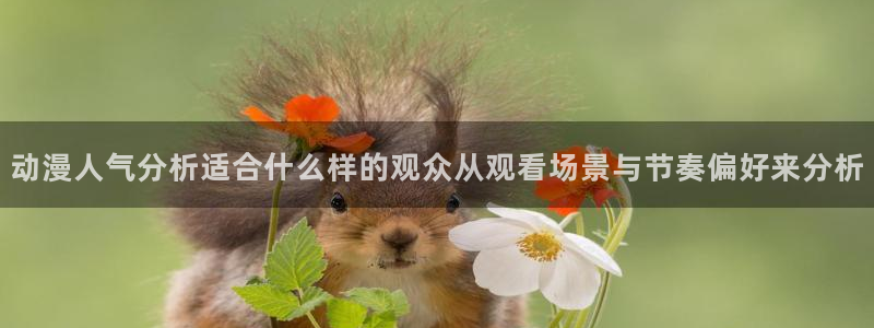 2026omofun动漫在线观看：动漫人气分析适合什么样的观众从观看场景与节奏偏好来分析